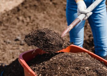 Tudo que você precisa saber sobre Gestão de Resíduos no Agronegócio: Dicas práticas e soluções sustentáveis