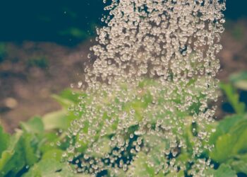 Revitalize suas colheitas: Descubra as melhores máquinas agrícolas para uma irrigação eficiente e sustentável