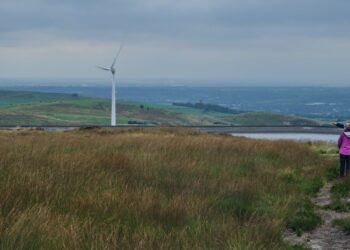 Descubra como a agricultura sustentável pode garantir nossa soberania alimentar e transformar o futuro da produção agrícola”.