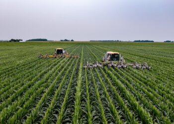 green grass field under white sky during daytime