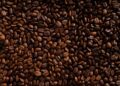 Sacos de café empilhados em armazém portuário, com grãos expostos e luz natural, remetendo à exportação.