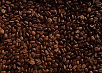 Sacos de café empilhados em armazém portuário, com grãos expostos e luz natural, remetendo à exportação.
