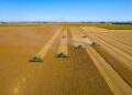 Vista aérea de plantação de soja com máquina agrícola ao entardecer