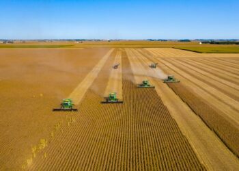 Vista aérea de plantação de soja com máquina agrícola ao entardecer