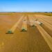 Vista aérea de plantação de soja com máquina agrícola ao entardecer