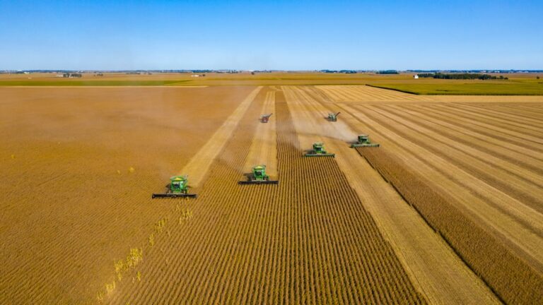 Vista aérea de plantação de soja com máquina agrícola ao entardecer